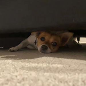 大乳Jαpαnese巨大乳
